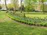  parterre de tulipes noires, Russel Square